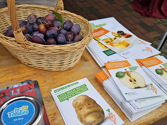 Info Foodsharing_Ökomesse 2023.jpg