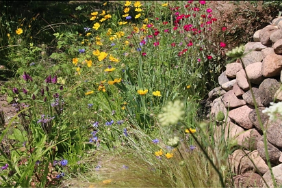 Naturnaher Garten&nbsp;&copy;&nbsp;NABU